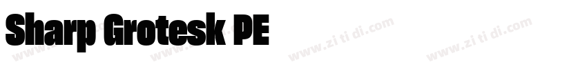 Sharp Grotesk PE字体转换